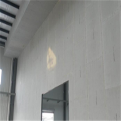 连云宁波ALC板|EPS加气板隔墙与混凝土整浇联接的实验研讨